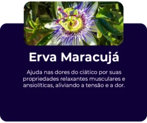 Erva-maracuja-passiflora-ingrediente-300x250