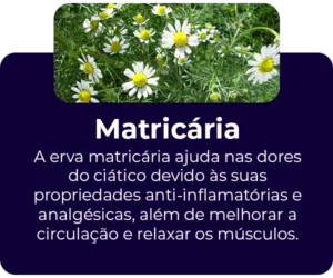 Matricaria-ingrediente2-300x250