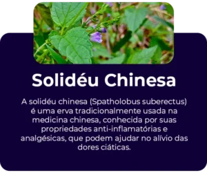 Solideu-Chinesa-300x250